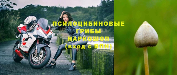 ПСИЛОЦИБИНОВЫЕ ГРИБЫ Баксан