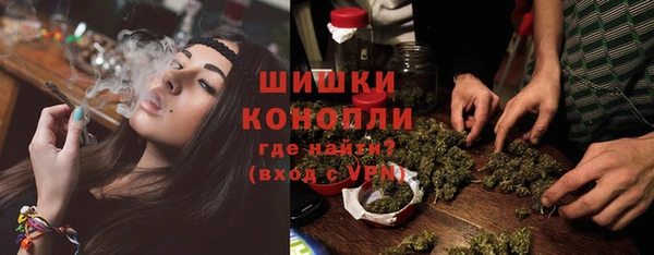 ГАЛЛЮЦИНОГЕННЫЕ ГРИБЫ Балабаново