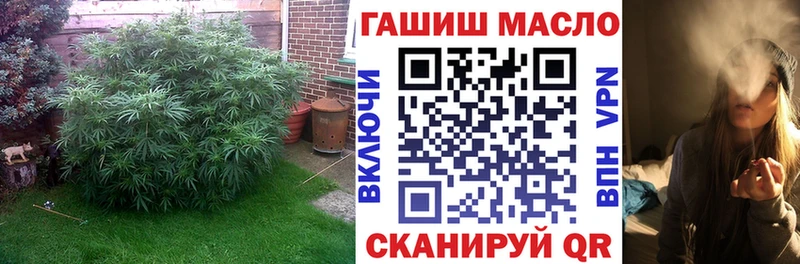 что такое наркотик  Трубчевск  shop формула  ТГК концентрат  omg сайт 