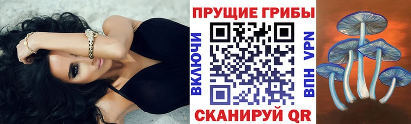 Псилоцибиновые грибы прущие грибы Трубчевск